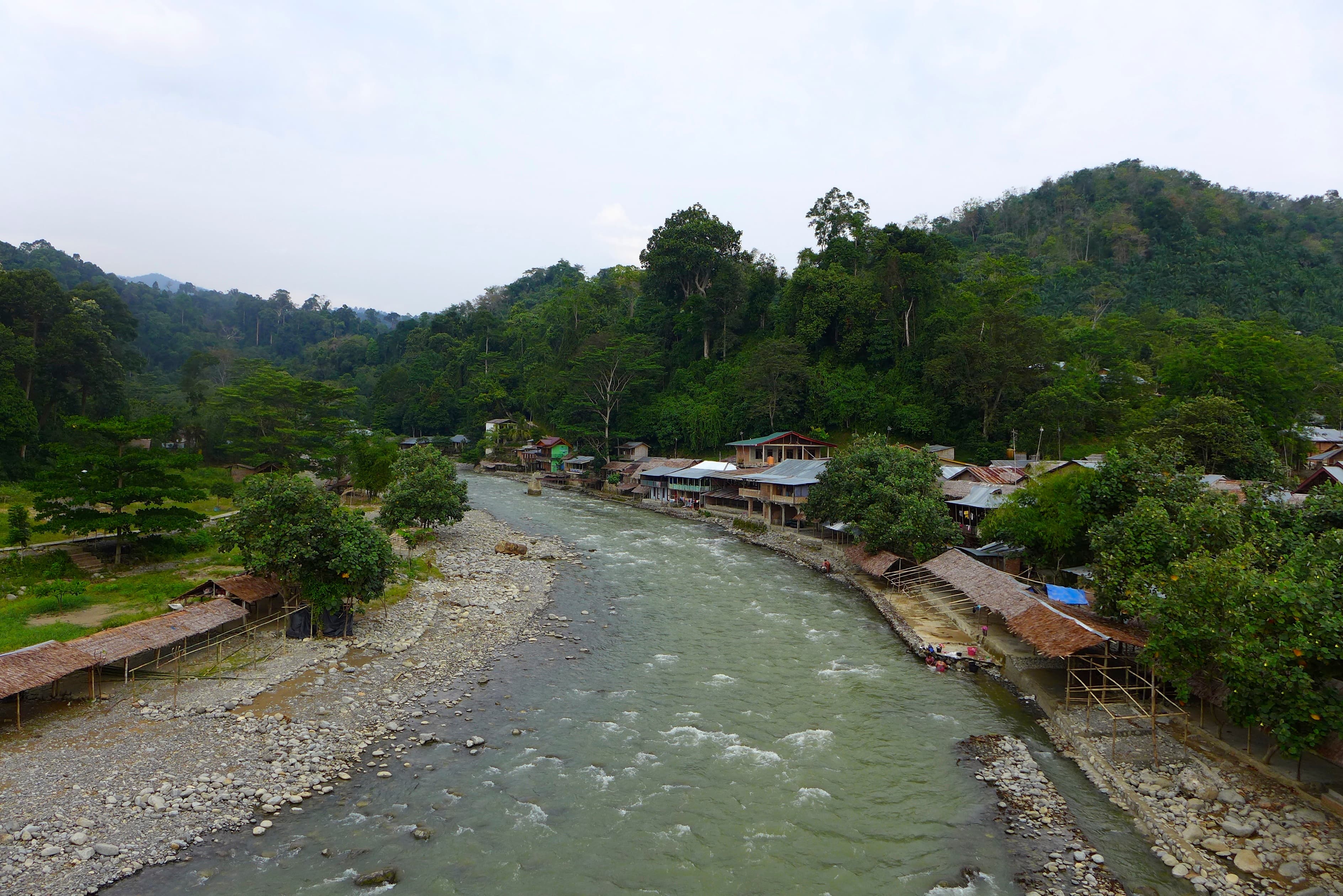 Village road and forest edge near Bukit Lawang in North Sumatra