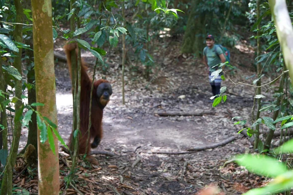 Local guide preparing supplies by the river before a Sumatra jungle trek